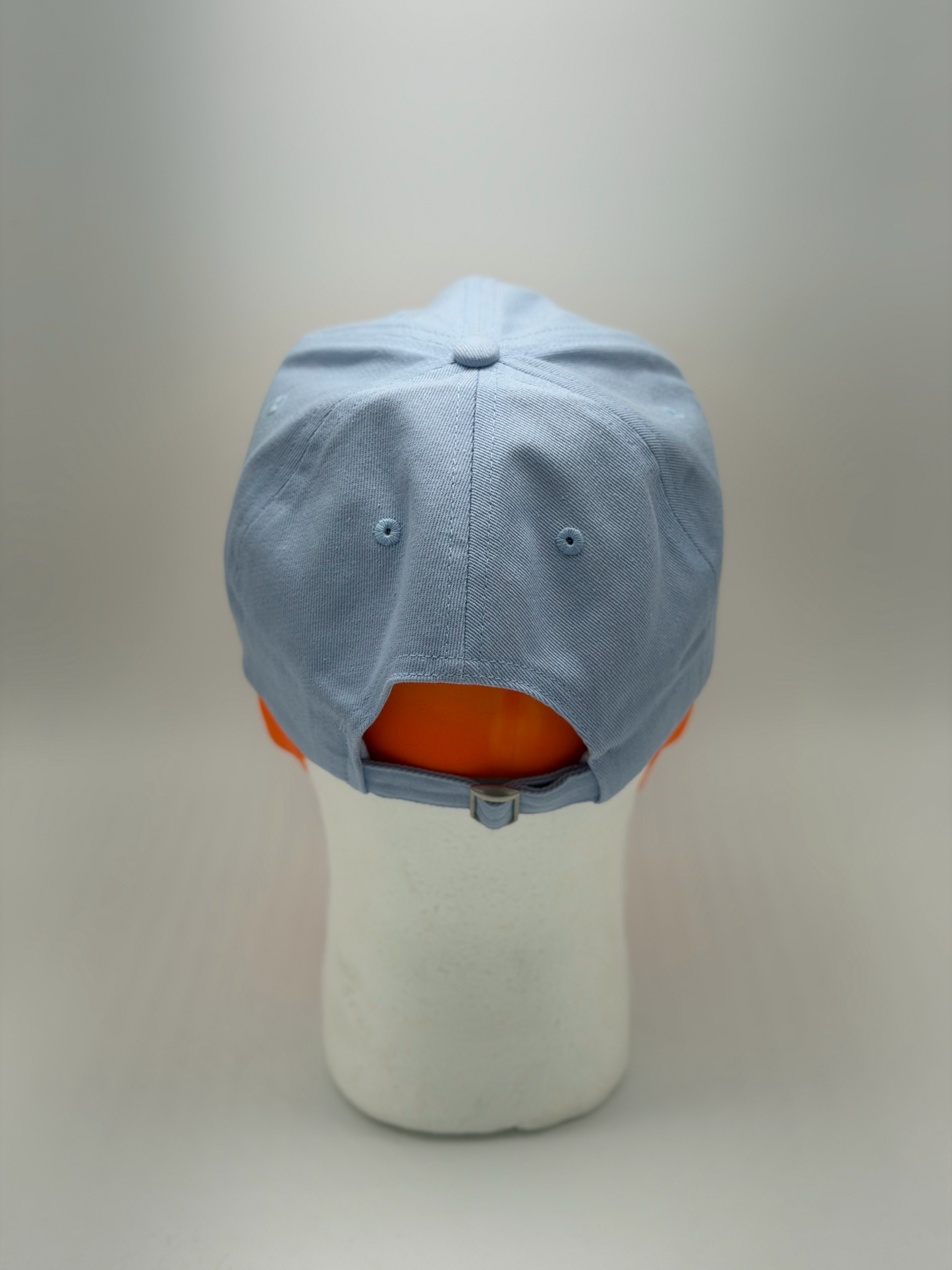 Disc Dog Dad Hat - (light blue)